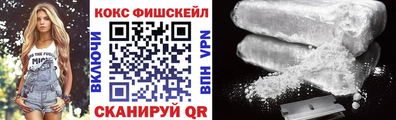 Кокаин Fish Scale  цены   Усть-Катав 