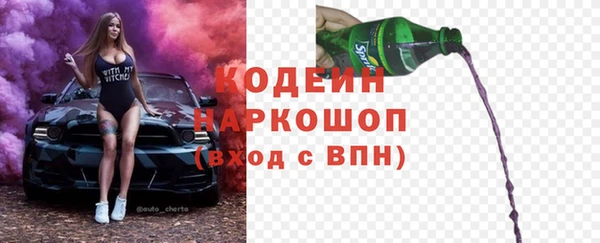 стафф Майский