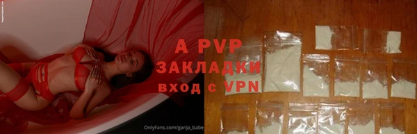 стафф Майский