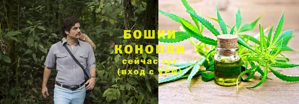 стафф Майский
