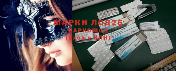 стафф Майский