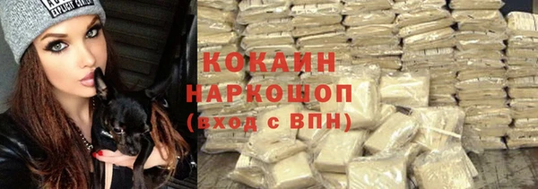 стафф Майский