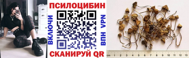 omg маркетплейс  Усть-Катав  Галлюциногенные грибы MAGIC MUSHROOMS 